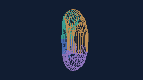 Synthetic preview of spatial-torus