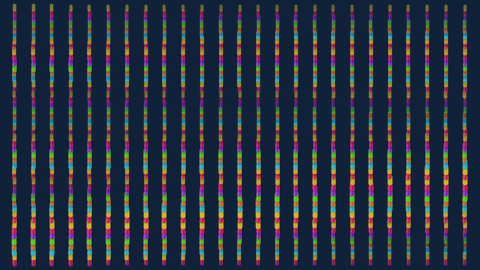Per-cell grain and phosphor lines